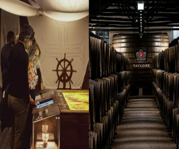 Taylor's Cellars & WOW Museum: Entry Ticket
